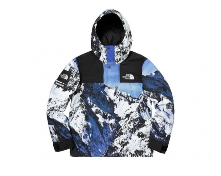 the north face supreme mountain jacket