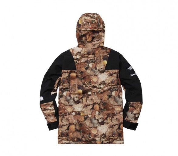 Supreme The North Face Mountain Light Jacket Leaves